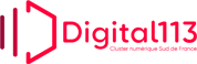 digital 113